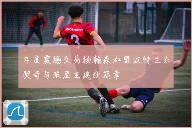 年度震撼交易杨瀚森加盟波特兰东契奇与浓眉互换新篇章