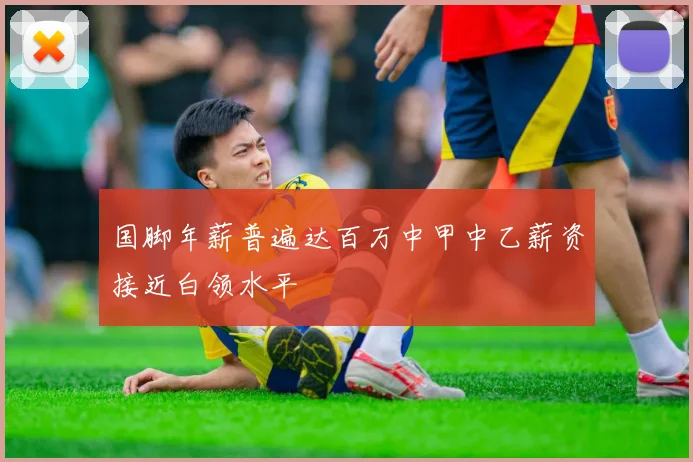 国脚年薪普遍达百万中甲中乙薪资接近白领水平