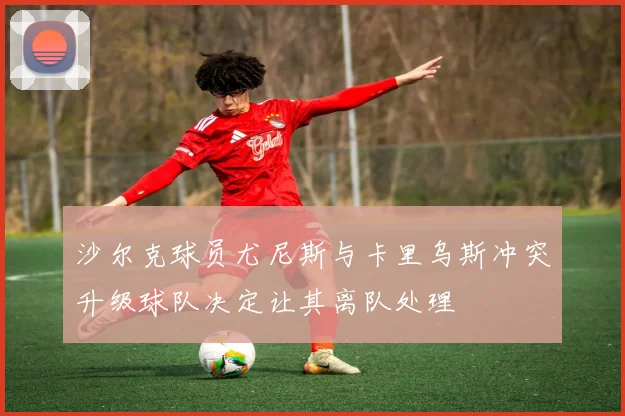 沙尔克球员尤尼斯与卡里乌斯冲突升级球队决定让其离队处理