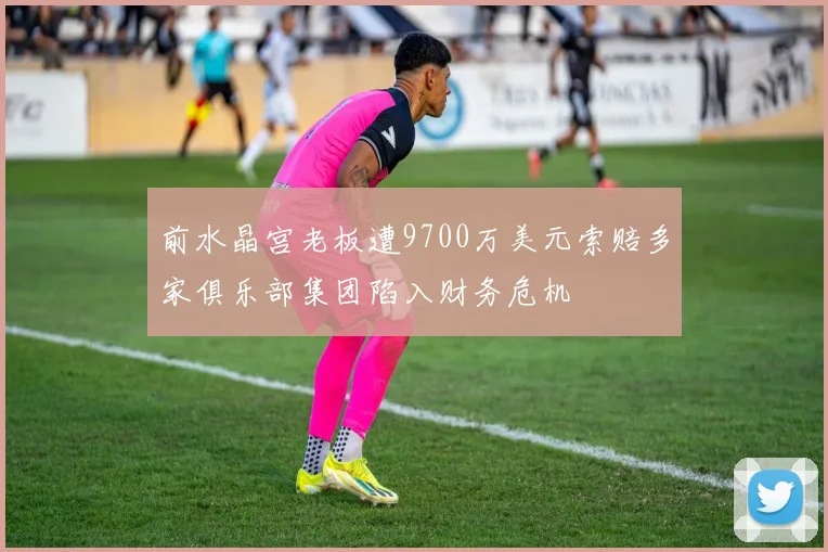 前水晶宫老板遭9700万美元索赔多家俱乐部集团陷入财务危机